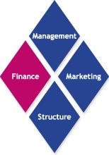 Wertediamant Management - Finance - Marketing - Structure