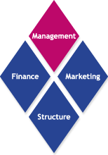 Wertediamant Management - Finance - Marketing - Structure