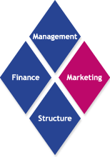 Wertediamant Management - Finance - Marketing - Structure