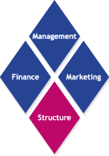 Wertediamant Management - Finance - Marketing - Structure